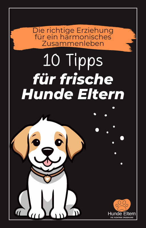 Cover: 10 Tipps für frische Hundeeltern (E-Book)
