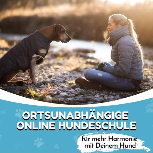 Frau sitzt einem Hund gegenüber – ortsunabhängige Online-Hundeschule